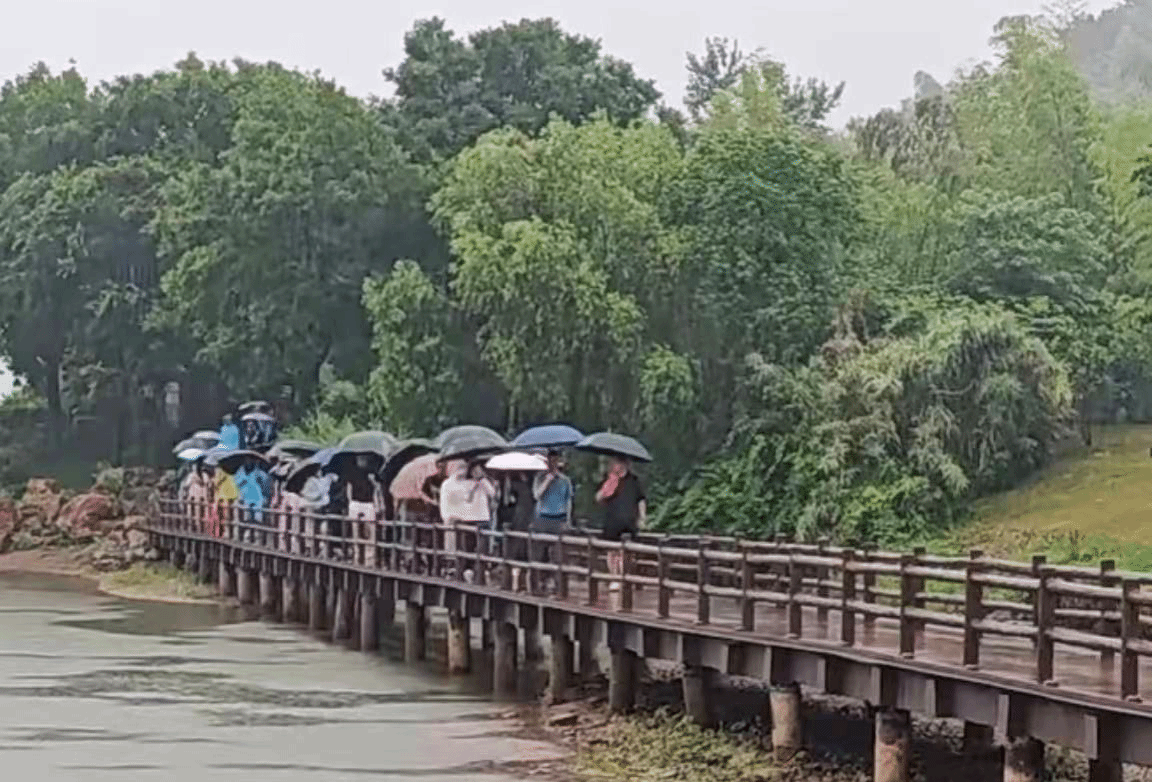 在线百家乐